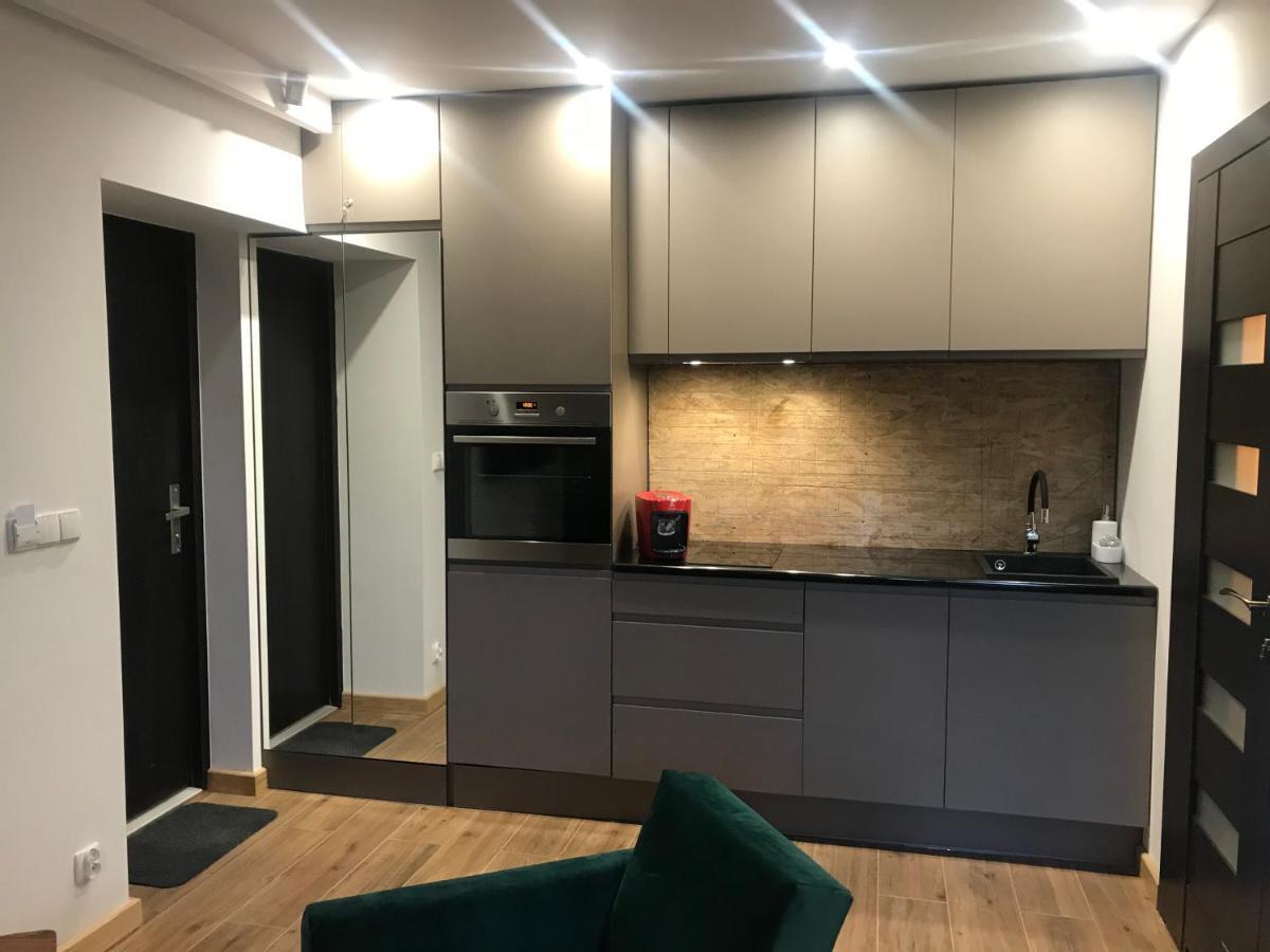 Apartamenty Mecenasowka Zakopane Dış mekan fotoğraf